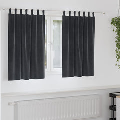 vidaXL Curtains 2 pcs Dark Grey 140 x 140 cm Velvet 1