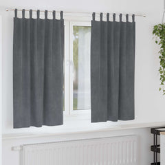 vidaXL Curtains 2 pcs Light Grey 140 x 175 cm Velvet 1