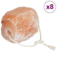 vidaXL Salt Lick Stones 8 pcs Pink Rock Salt 1