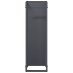 vidaXL Firewood Rack Anthracite 25x25x80 cm Cold-rolled steel 5