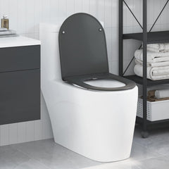 vidaXL Toilet Seat Anthracite 47 x 36 x 3.4 cm Duroplast 1