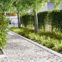Lawn Edging 100 x 0.05 x 15 cm Cold Rolled Steel 100 x 15 cm 30 pcs White