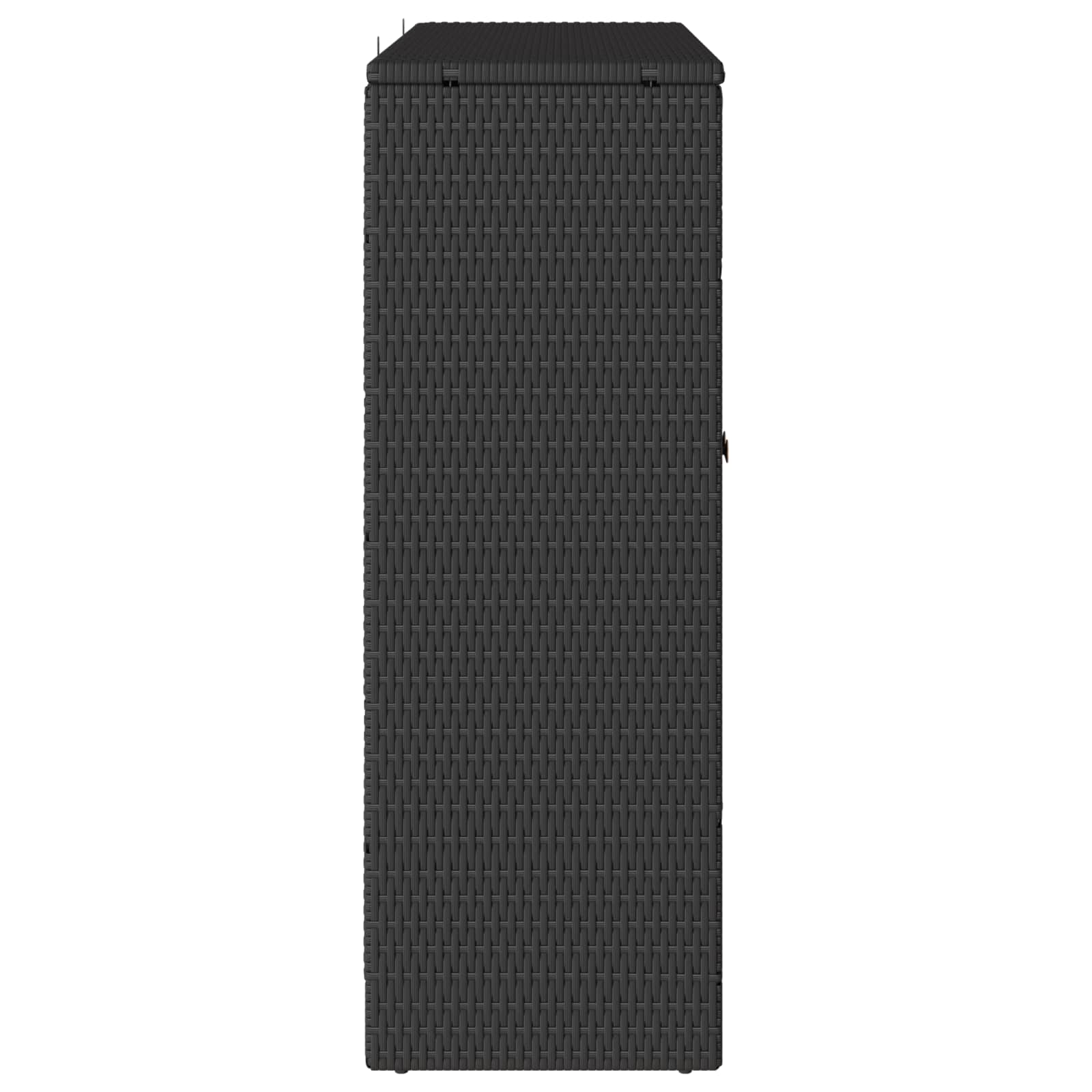 vidaXL Storage Cabinet with Shelf Black 100 x 36 x 102 cm Rattan 6