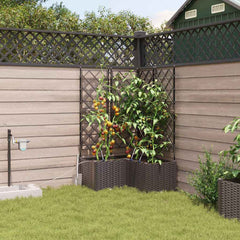 Garden Planter 3 pcs 80 x 80 x 142 cm PP without Wheel Brown