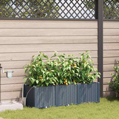 vidaXL Garden Planter 3 pcs LiGht Grey 120 x 40 x 37.5 cm PP 1
