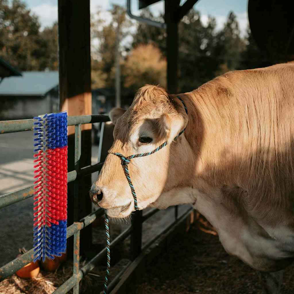 vidaXL Cattle Brushes Red and Blue 50 x 17 x 9 cm PP 1