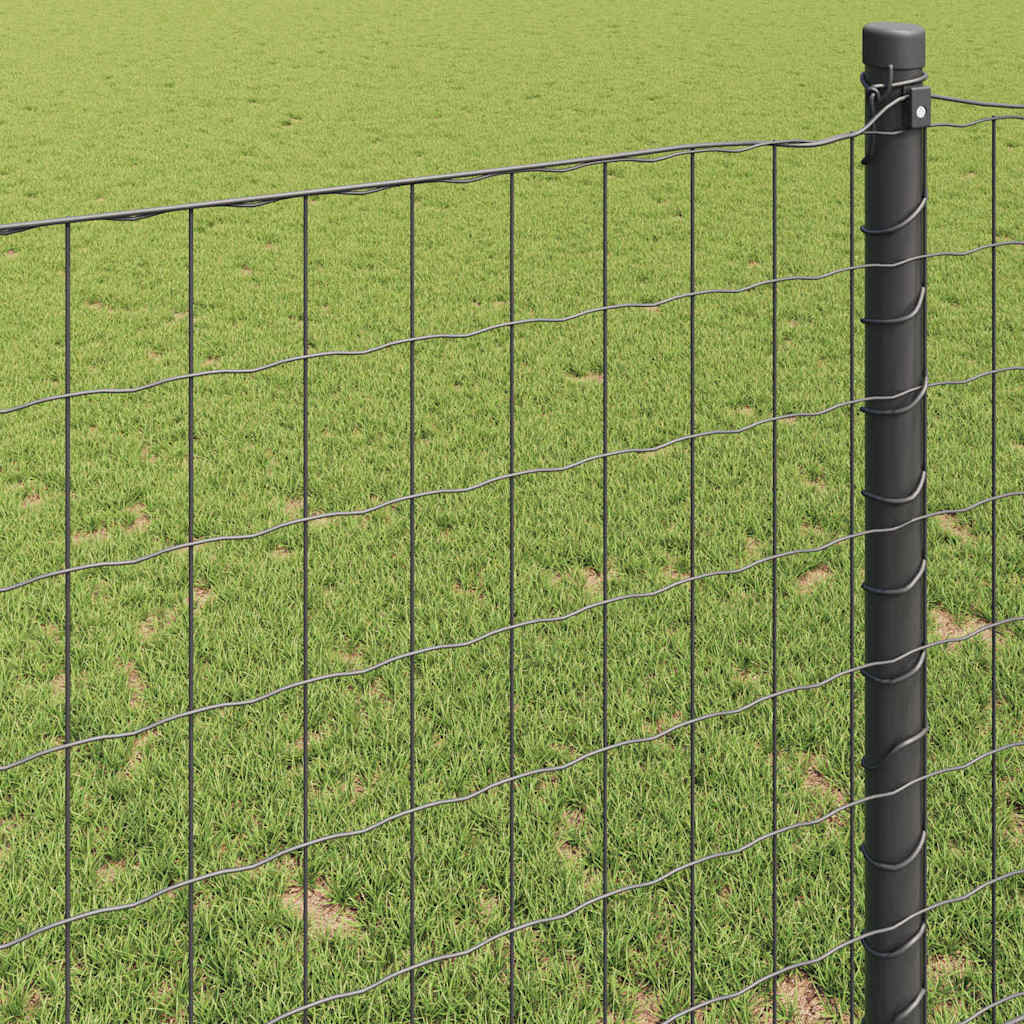 vidaXL Euro Fence 0.8 x 25 m PVC-coated iron Grey 4