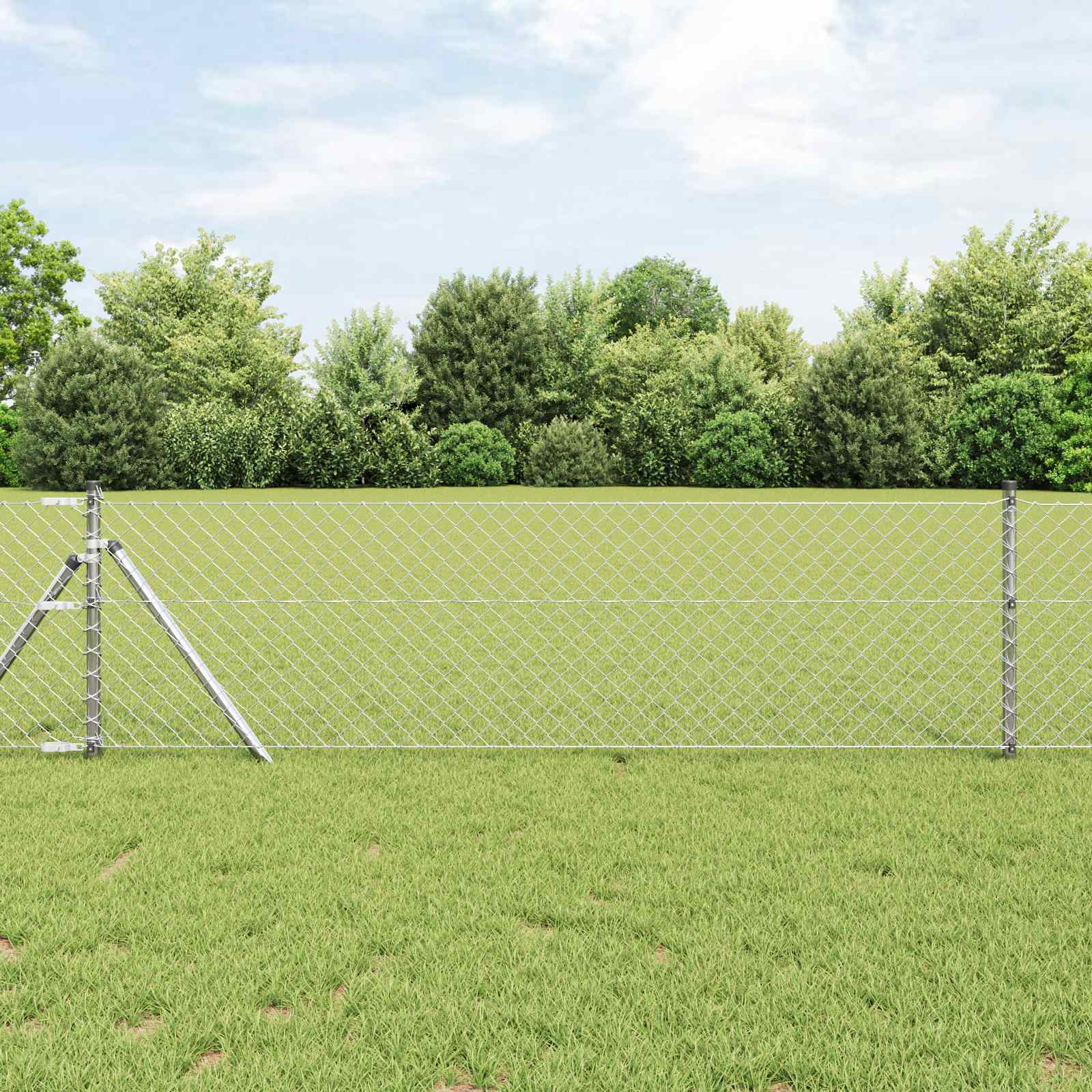 vidaXL Chain Link Fence 25 x 0.8 m Galvanised steel Silver 1
