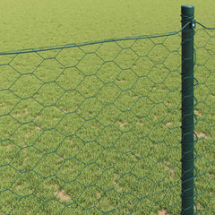 Hexagon Fence 1 x 100 m PVC Green mesh Size 36 mm 0.5 m