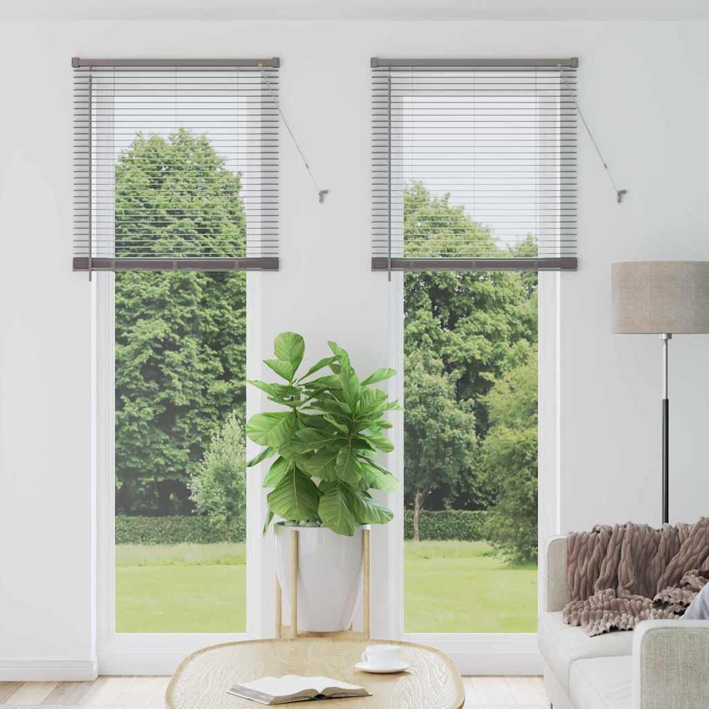 vidaXL Venetian Blinds Silver 220 x 80 cm Aluminium 1