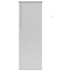 vidaXL Venetian Blinds Silver 220 x 80 cm Aluminium 2