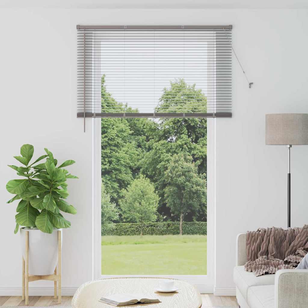 vidaXL Venetian Blinds Silver 220 x 125 cm Aluminium 1