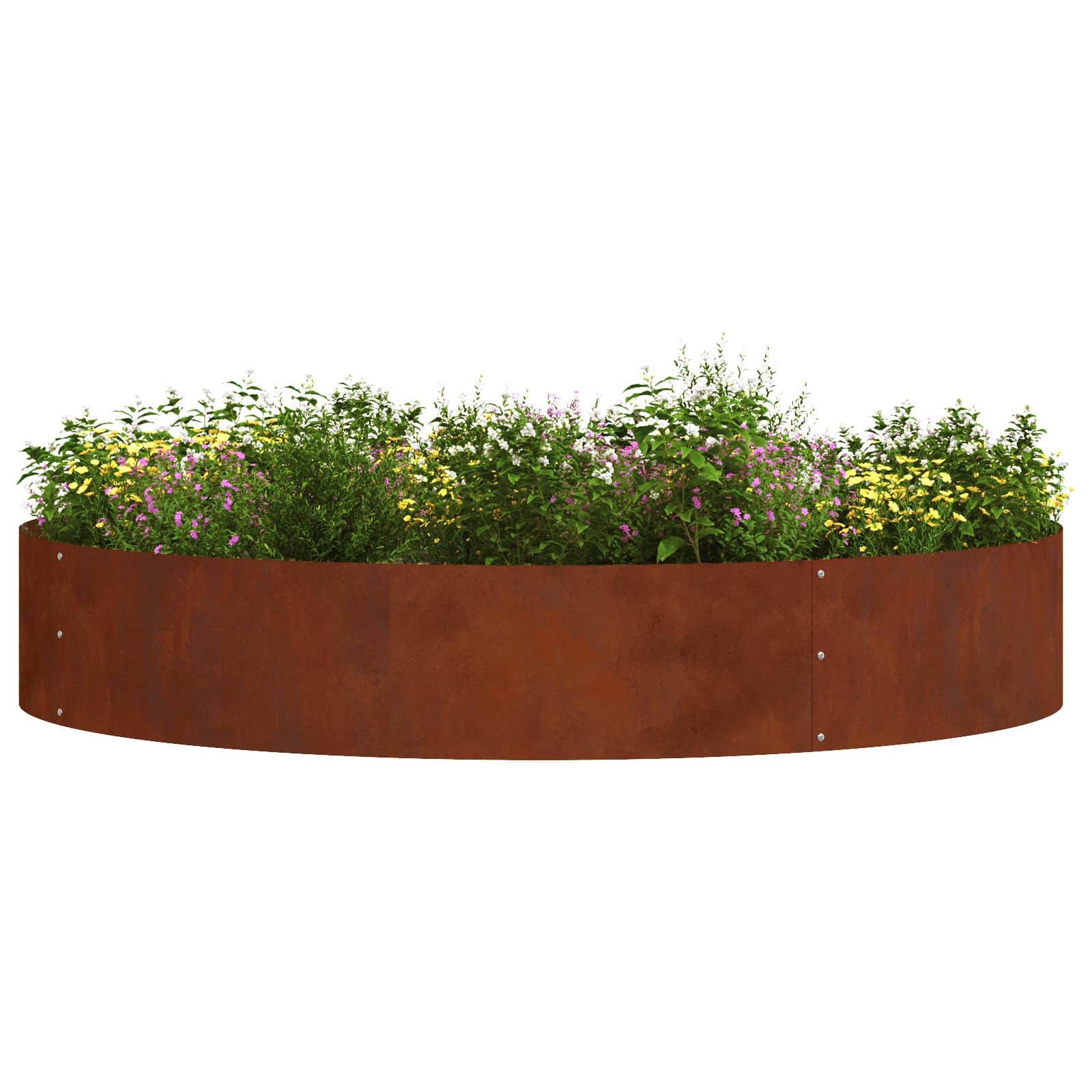 vidaXL Planter Ring Rusty 120 x 120 x 20 cm Weathering Steel 3