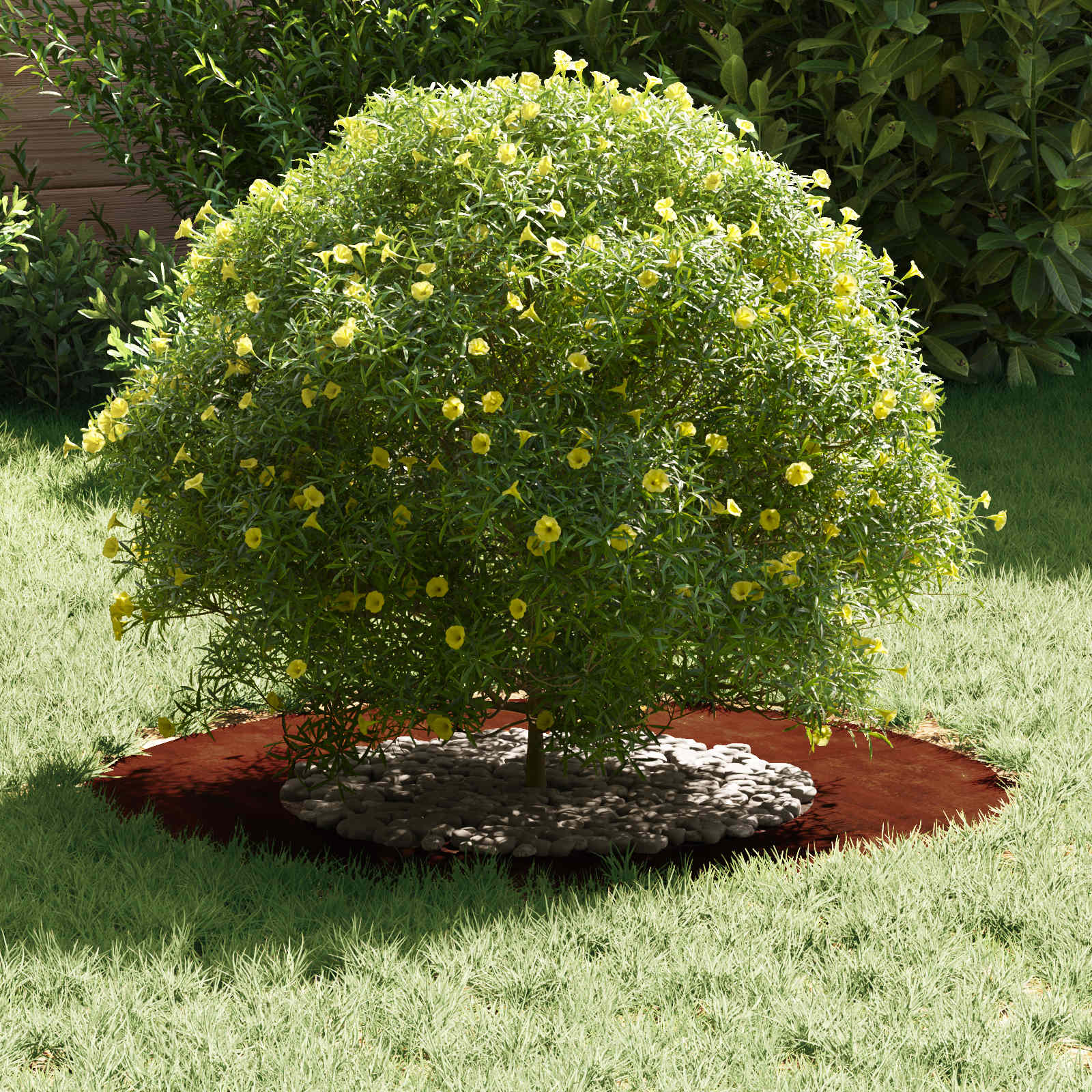 vidaXL suitable for Flat Tree Ring Rusty Ø40/70 cm 3