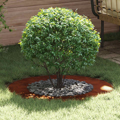 vidaXL suitable for Flat Tree Ring Rusty Ø50/80 cm 1
