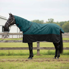 vidaXL Horse Blanket Dark Green and Black 95 cm Polyester 1