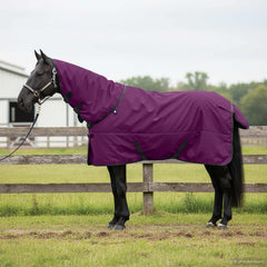vidaXL Horse Blanket Full Purple 75 cm Polyester 1