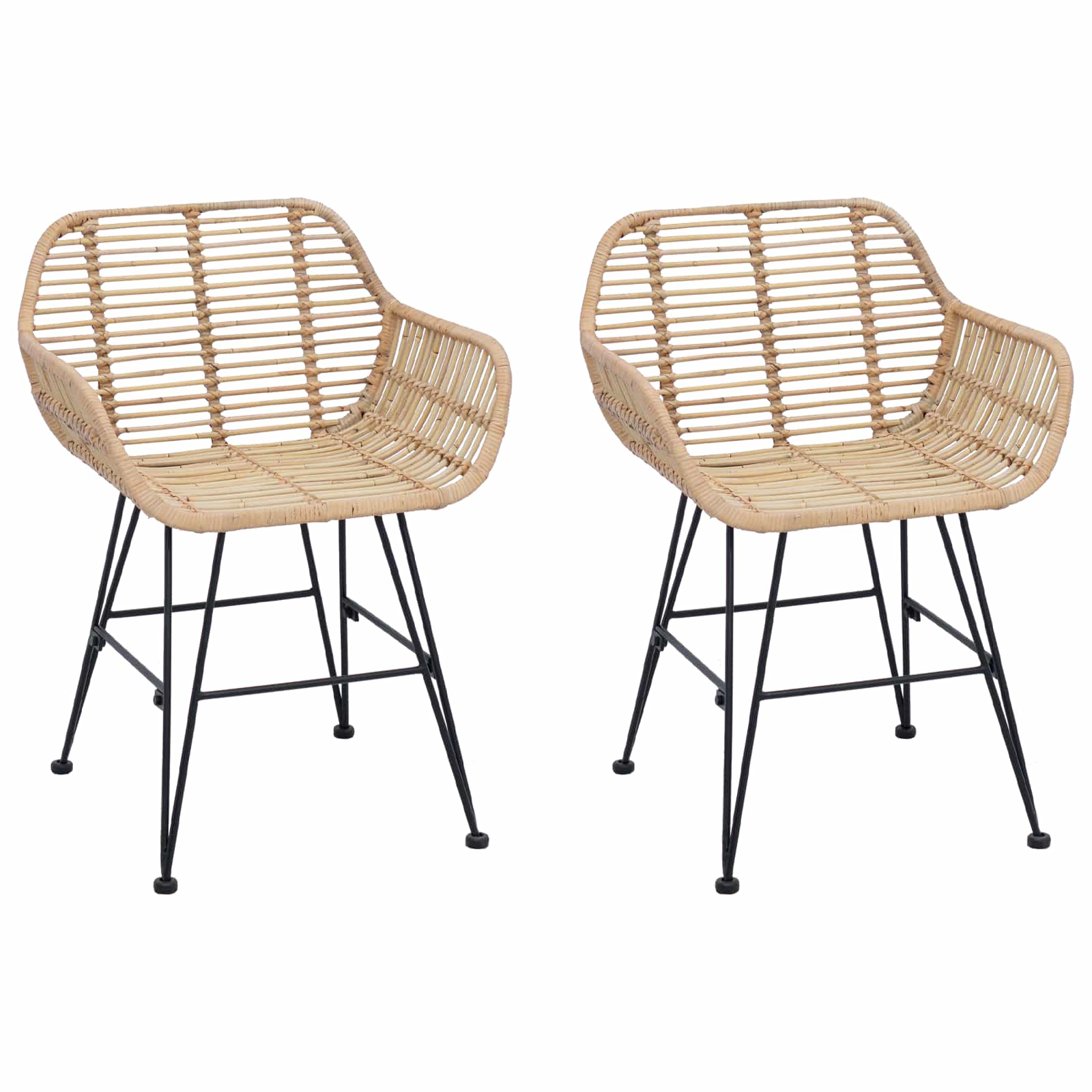 vidaXL Dining Chair 2 pcs Rattan and Iron Natural 55 x 50 x 74 cm 2