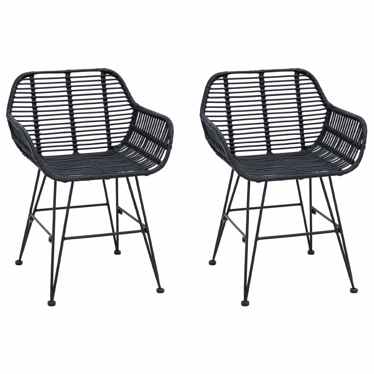 Dining Chair 2 pcs Rattan and Iron