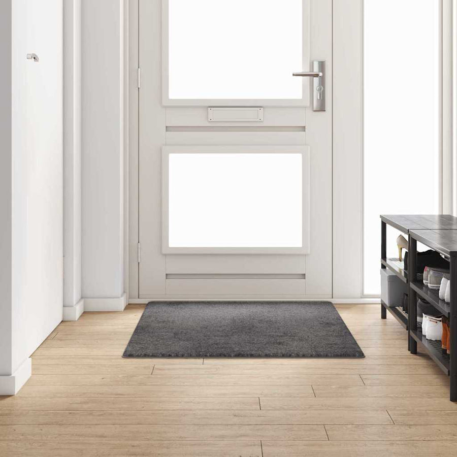 vidaXL Carpet Runner Grey 100 x 150 cm 100% Polypropylene Tuft 1