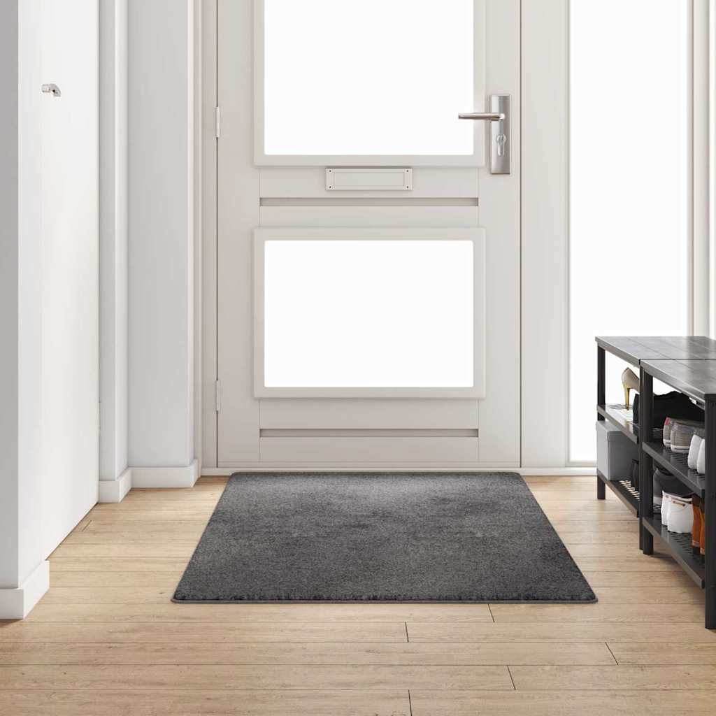 vidaXL Carpet Runner Grey 100 x 200 cm 100% Polypropylene Tuft 1