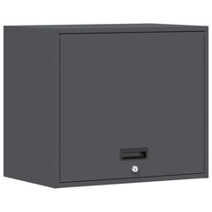 vidaXL Wall Cabinet for Garage with Gas-lift Door Anthracite 2