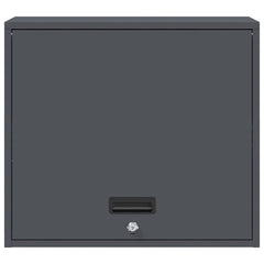 vidaXL Wall Cabinet for Garage with Gas-lift Door Anthracite 6