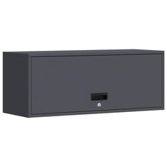 vidaXL Wall Cabinet for Garage with Gas-lift Door Anthracite 2