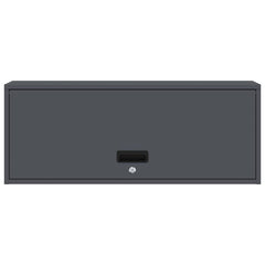 vidaXL Wall Cabinet for Garage with Gas-lift Door Anthracite 6