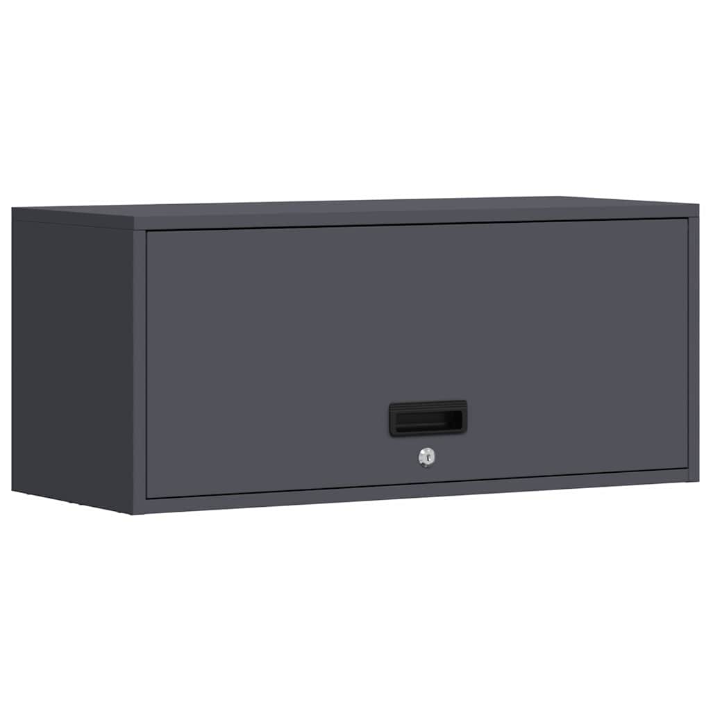 vidaXL Wall Cabinet for Garage with Gas-lift Door Anthracite 2