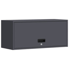 vidaXL Wall Cabinet for Garage with Gas-lift Door Anthracite 2