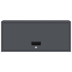 vidaXL Wall Cabinet for Garage with Gas-lift Door Anthracite 6