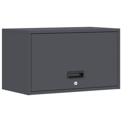 vidaXL Wall Cabinet for Garage with Gas-lift Door Anthracite 2
