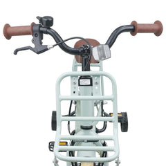 Kids Bike for 2-4 Years Old Light Green 12 inches