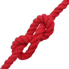 vidaXL Cotton Rope 16 mm 50 m Red 100% Cotton 4