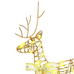 vidaXL LED Reindeers 2 pcs 40 LEDs Warm White 44 x 18 x 65.5 cm PET 5