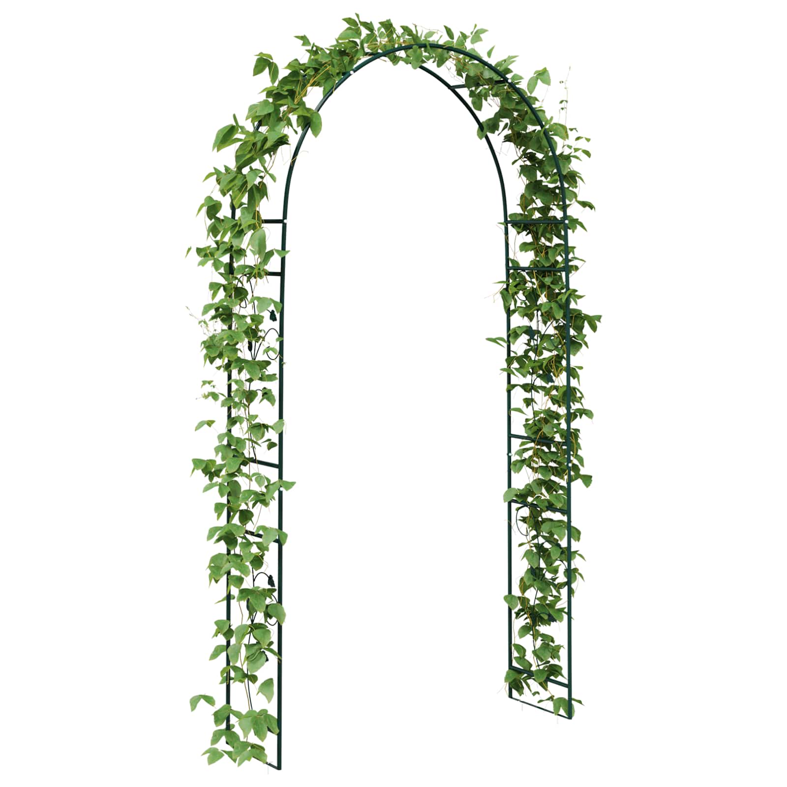 vidaXL Garden Arch Green 115 x 37 x 231 cm 3