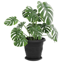 vidaXL Plant Pots 24 pcs Black Ø 26 x 21.5 cm Plastic 3