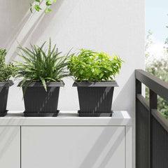 vidaXL Plant Pots 6 pcs Black Plastic 1