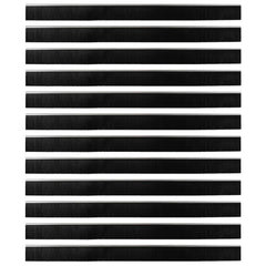 vidaXL Self-adhesive Door Brush Seals 12 pcs 100 cm Aluminium Alloy 2