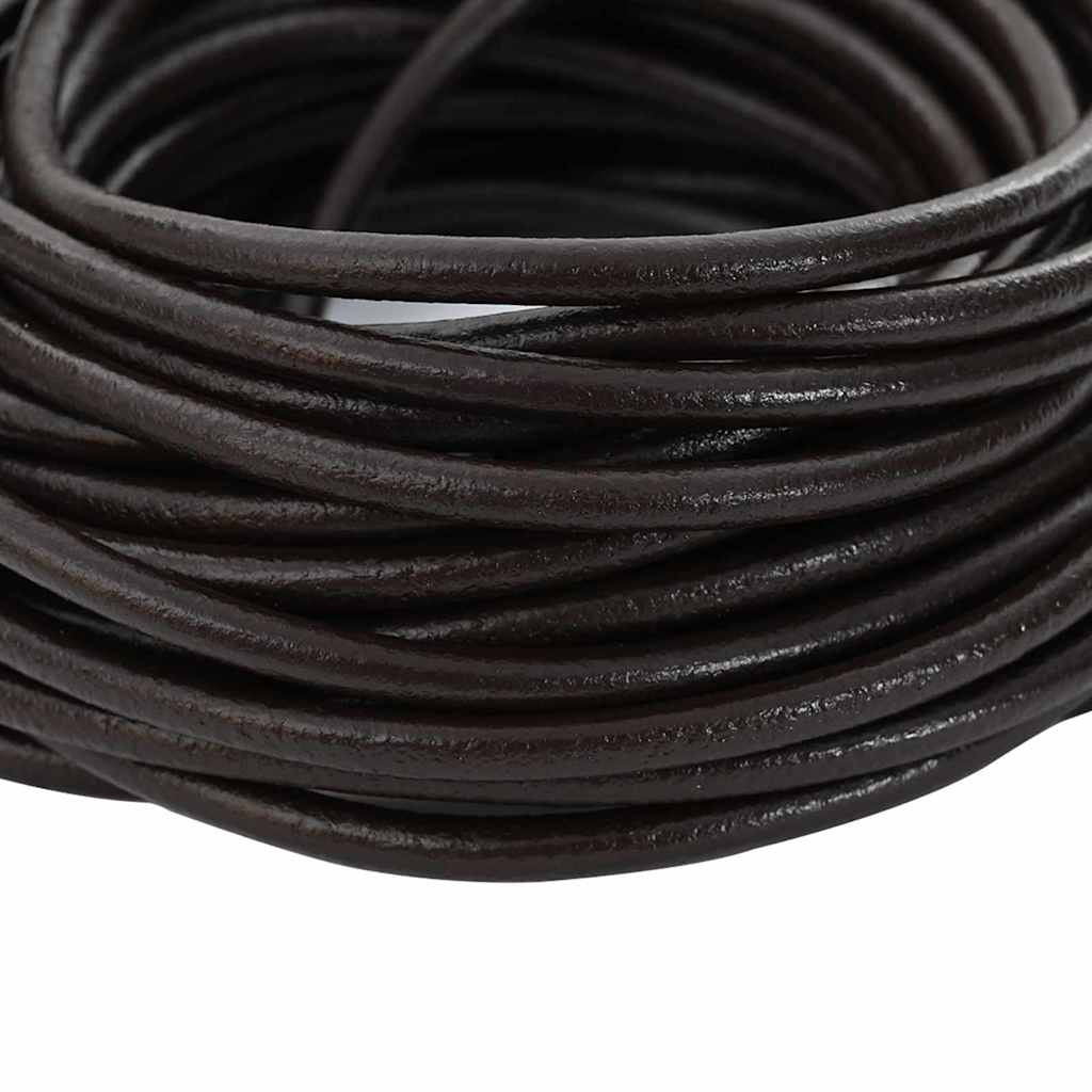 vidaXL Leather Cord 1 Dark Brown Ø4 mm x 50 m Leather 4