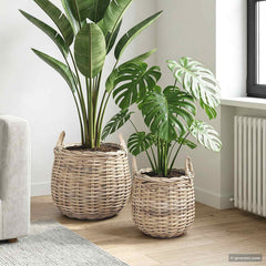 vidaXL Planter Basket GENDT 2 pcs Natural Grey Kubu Rattan 1