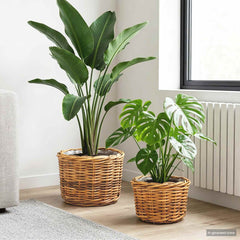 vidaXL Planter Basket GENDT 2 pcs Natural Brown Kubu Rattan 1