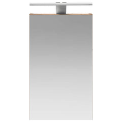 vidaXL Bathroom Mirror Cabinet Old Wood 30 x 10.5 x 50 cm 6