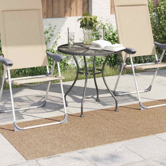vidaXL Indoor and Outdoor Rug AGIRA Natural 150 x 80 cm Polyester 3