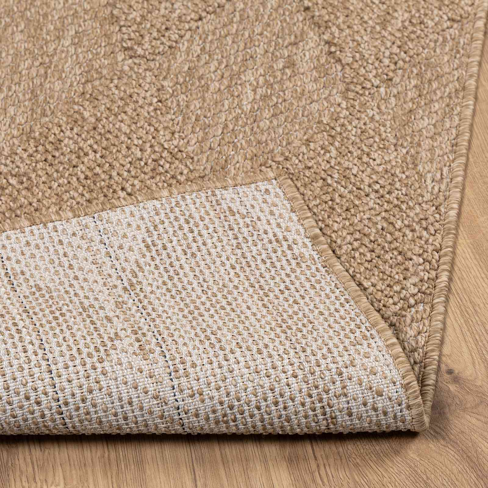 vidaXL Indoor and Outdoor Rug AGIRA Natural 150 x 80 cm Polyester 4
