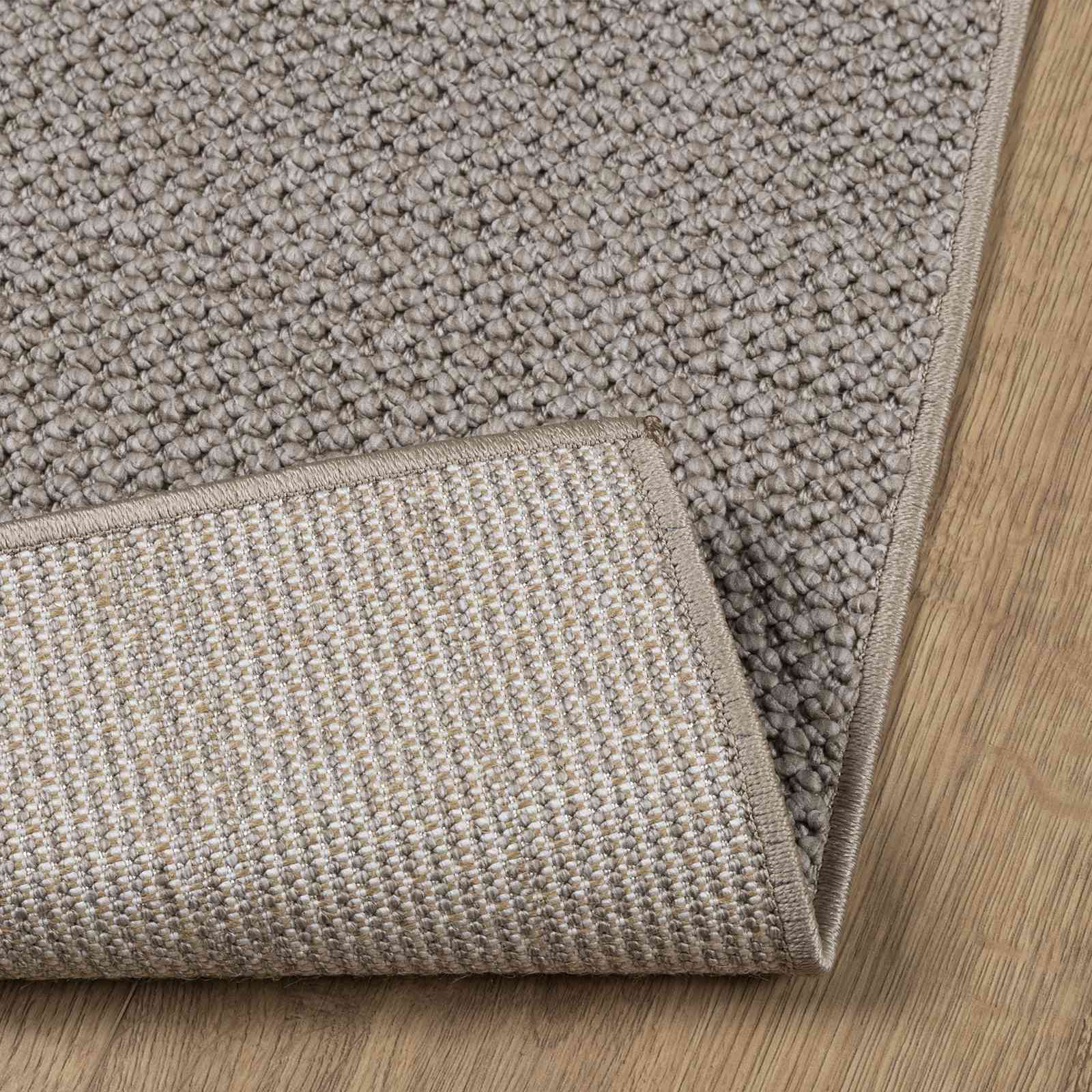 vidaXL Indoor Rug LUGO Taupe 80 x 150 cm Polyester 4