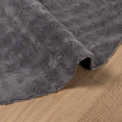 vidaXL Area Rugs Round SIROLO Anthracite Ø 160 CM Polyester 5
