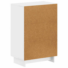 vidaXL Shoe Cabinet EDE 59.5 x 39.5 x 90 cm Engineered Wood 6