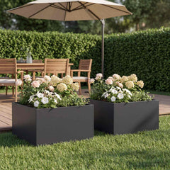 vidaXL Garden Planter 2 pcs Black 60 x 60 x 30 cm Cold-rolled Steel 1